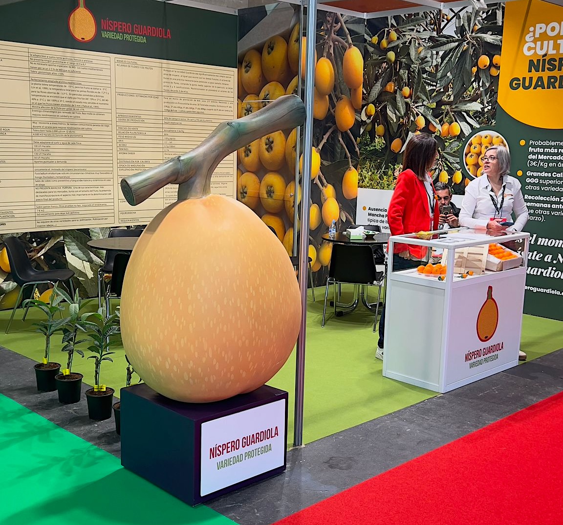 Níspero Guardiola en Fruit Attraction